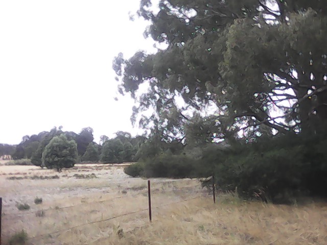 On Building a society