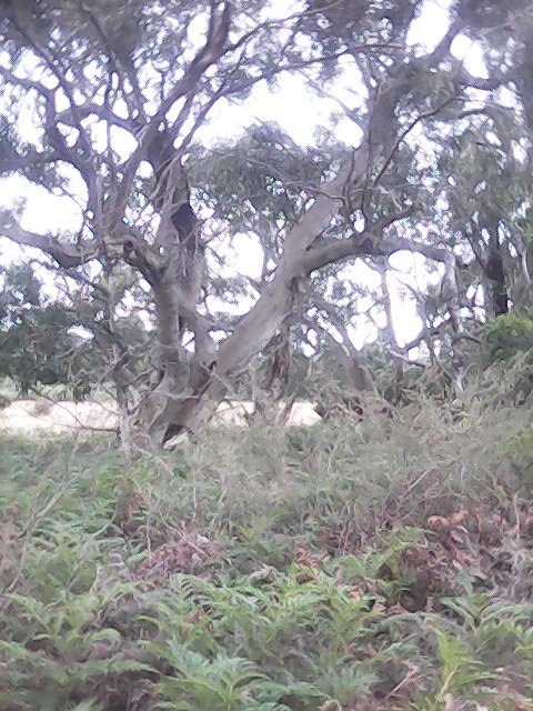 On Building a society