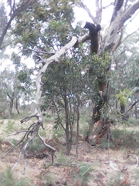 On Building a society