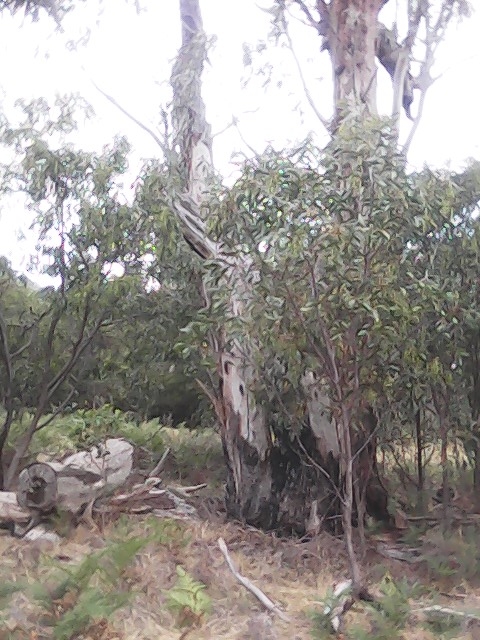 On Building a society