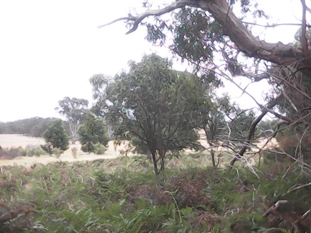 On Building a society