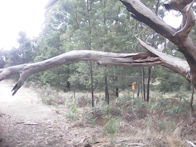 On Building a society