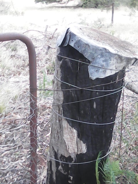 On Building a society