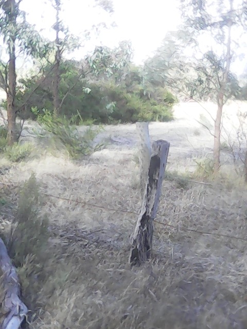 On Building a society