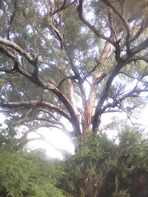 On Building a society