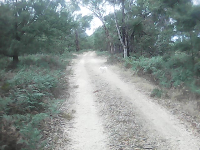 On Building a society