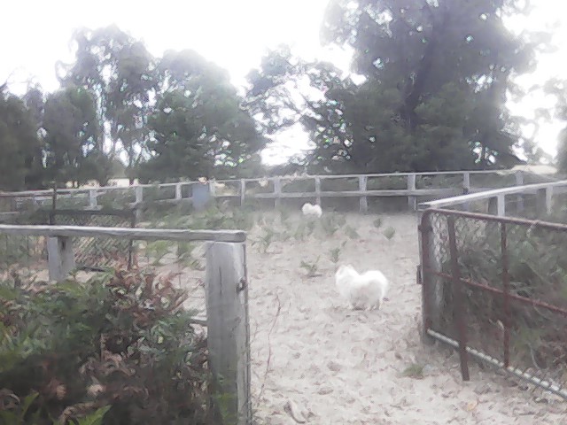 On Building a society