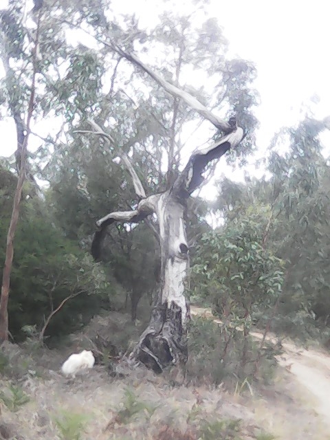 On Building a society